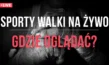 Gdzie oglądać sporty walki na żywo?